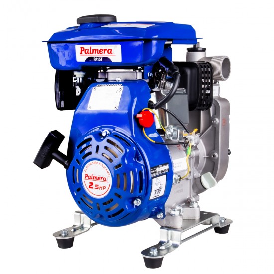 Palmera Pa15t Eur5 Su Motoru 1,5" 4-Zamanlı